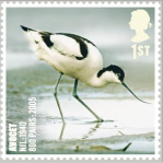 Avocet Royal Mail stamp